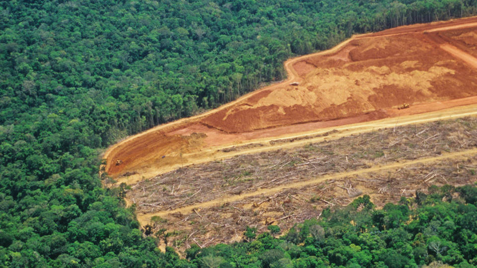 Image for The Battle for the Climate Is Also a Battle for Information